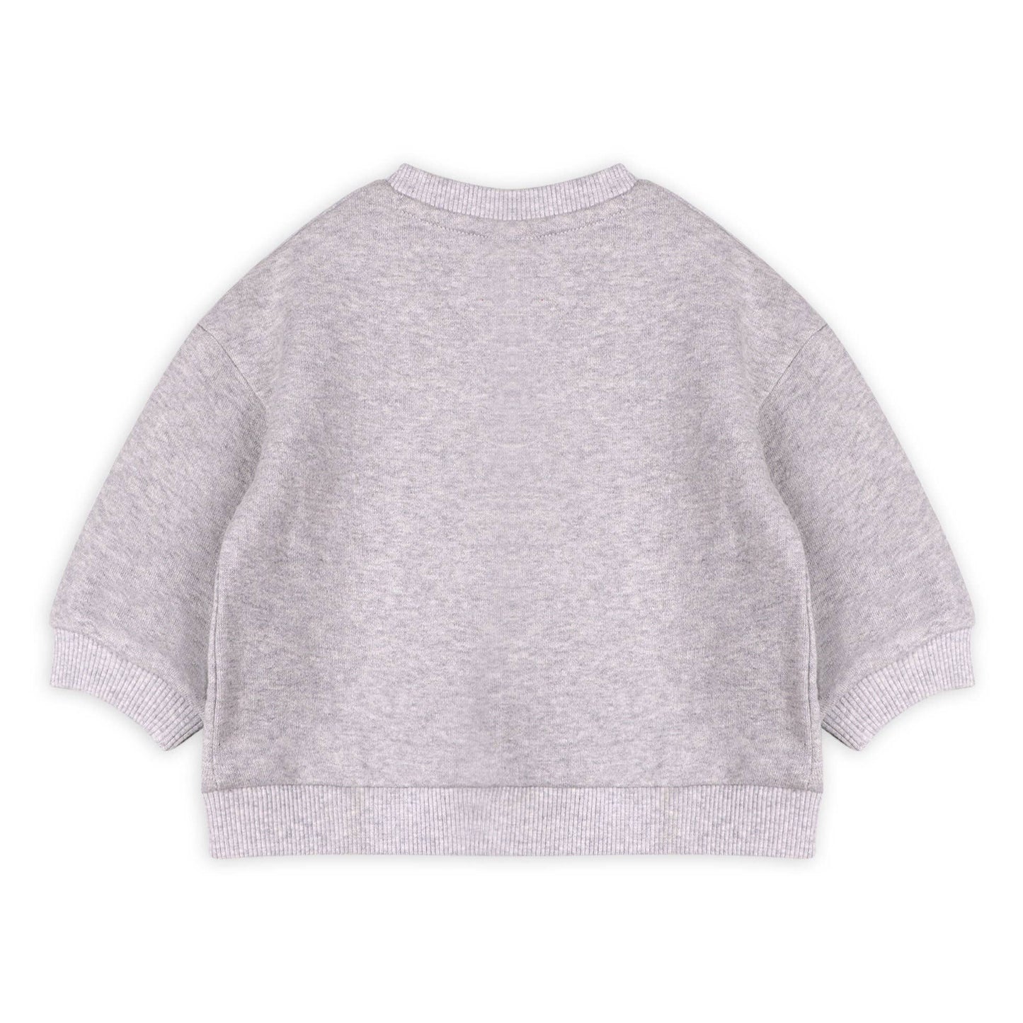 Dino Baby Sweatshirt & Jogger Set