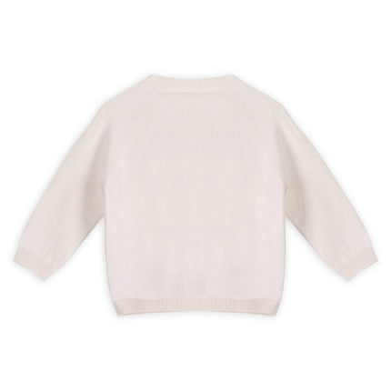 Dino Jacquard Baby Knit Pullover (Organic)