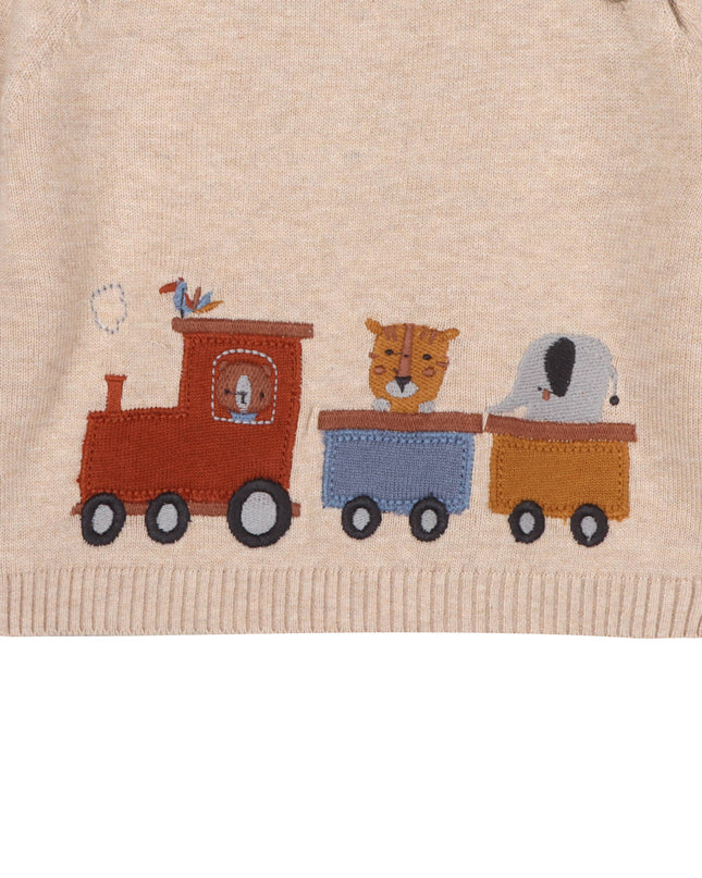 Animal Train Stripe Sweater Knit Baby Pullover