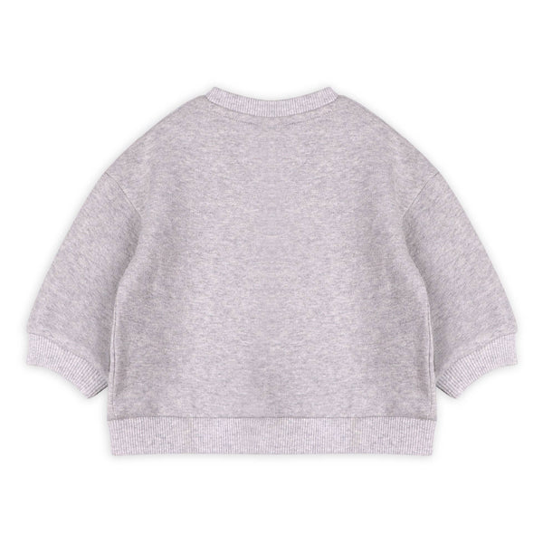 Dino Baby Sweatshirt & Jogger Set