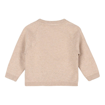 Animal Train Stripe Sweater Knit Baby Pullover