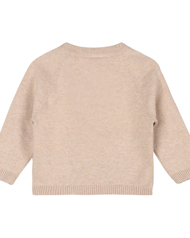 Animal Train Stripe Sweater Knit Baby Pullover