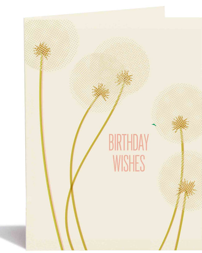 Birthday Dandilion