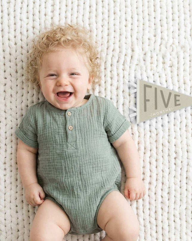 Mountain Fields Baby Milestone Pennant