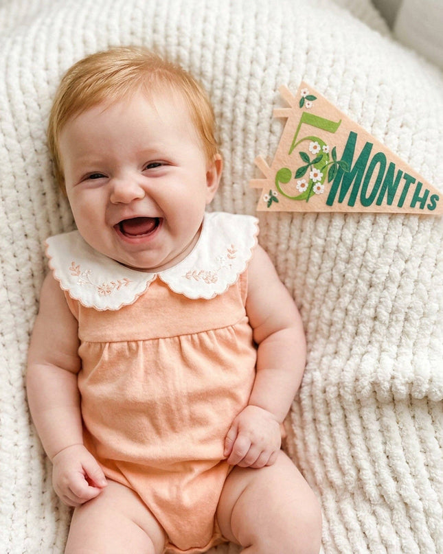 Little Artist Baby Milestone Pennant