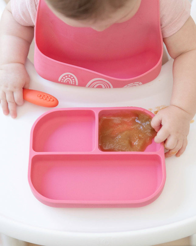 Chasing Rainbows Little Bites Starter Bib