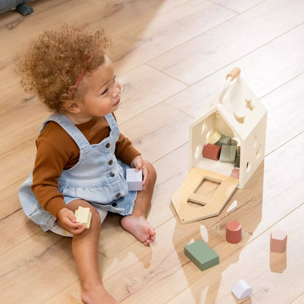 Wooden Shapes Sorting House