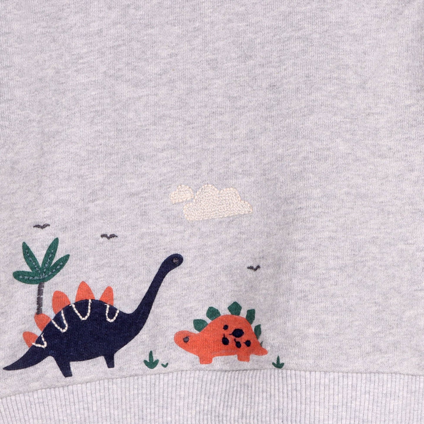 Dino Baby Sweatshirt & Jogger Set