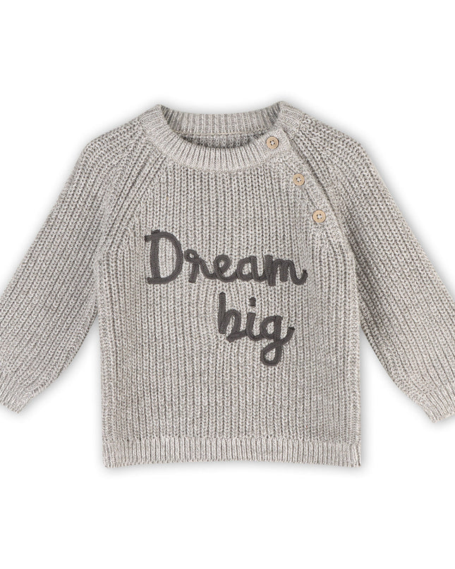 DREAM BIG Embroidered Chunky Knit Baby Sweater (Organic)
