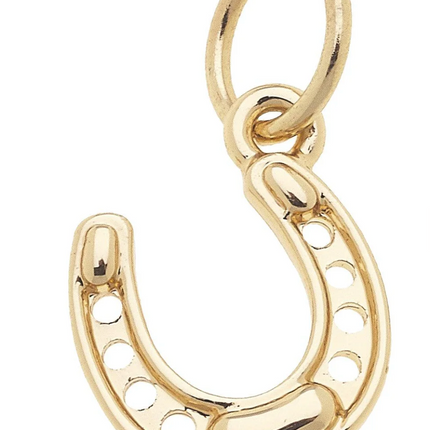 Lucky Horseshoe Charm