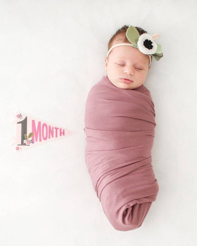 Little Artist Baby Milestone Pennant