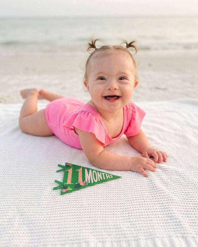 Little Artist Baby Milestone Pennant