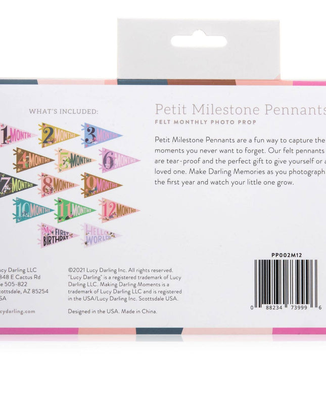 Little Artist Baby Milestone Pennant