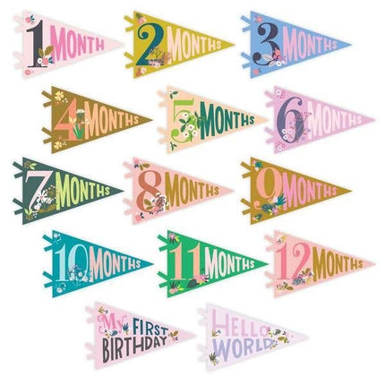 Little Artist Baby Milestone Pennant