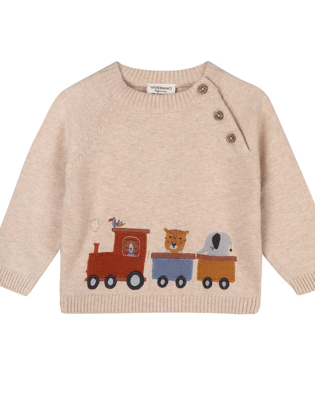 Animal Train Stripe Sweater Knit Baby Pullover