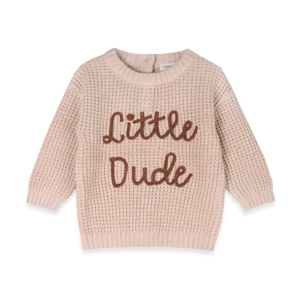 Little Dude Embroidered Sweater Knit Baby Pullover