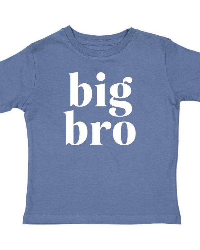 Big Bro short sleeve shirt — sibling announcement outfit, new baby gift